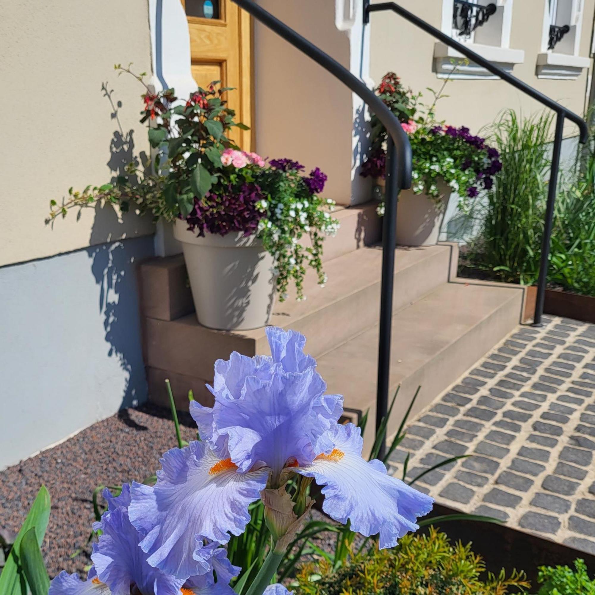 Komfort Ferienwohnungen Mit Wellness-Garten - Gaestehaus Am Bachlauf - Losheim Am See Pokój zdjęcie