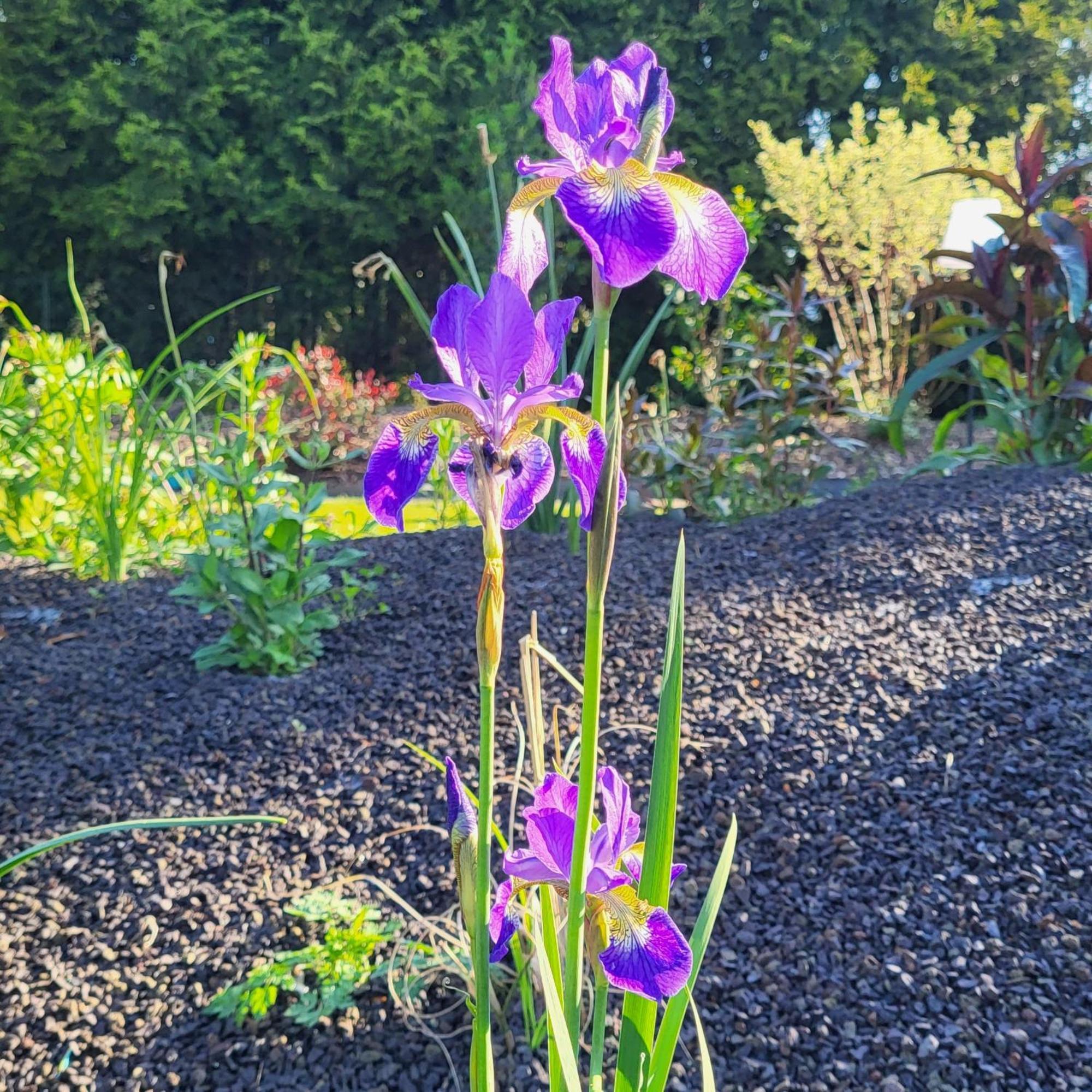 Komfort Ferienwohnungen Mit Wellness-Garten - Gaestehaus Am Bachlauf - Losheim Am See Pokój zdjęcie